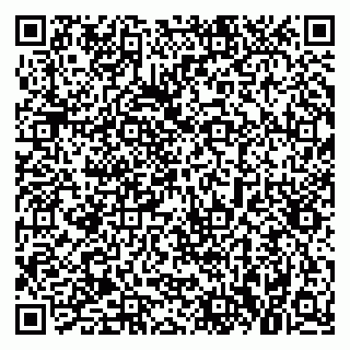 vCard 79021090380