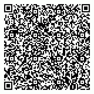 vCard 79021090381