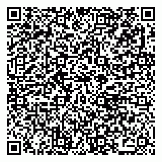 vCard 79021090384