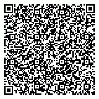 vCard 79021090389