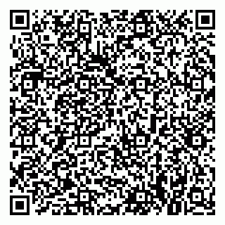 vCard 79021090399