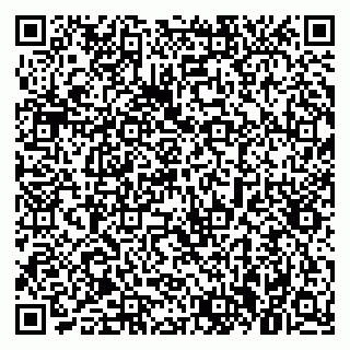 vCard 79021090401