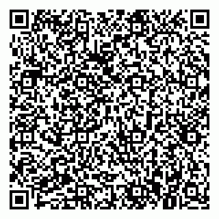vCard 79021090403