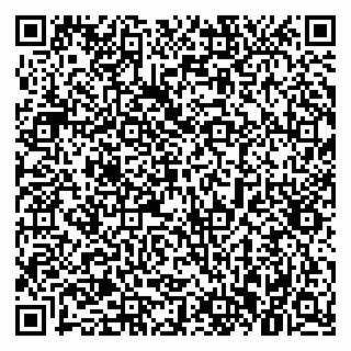 vCard 79021090413