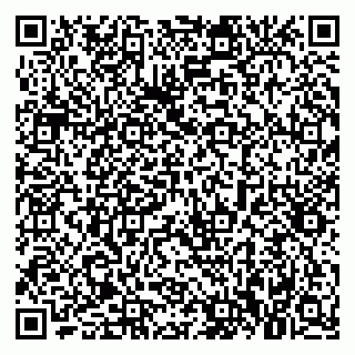 vCard 79021090540