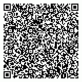 vCard 79021090581