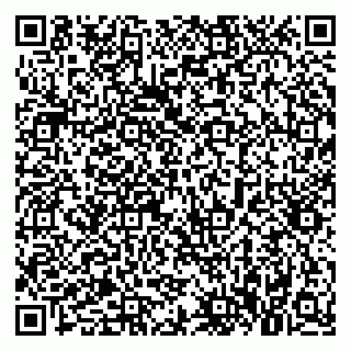 vCard 79021090587