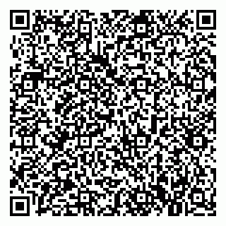 vCard 79021090731