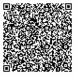 vCard 79021091533