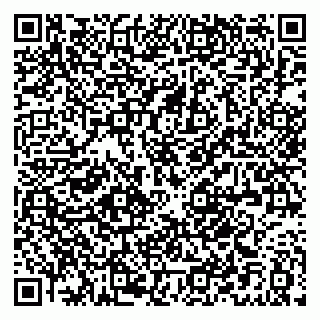 vCard 79021094033