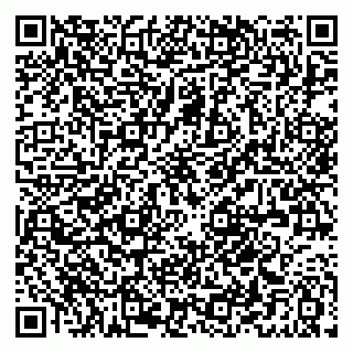 vCard 79021094381