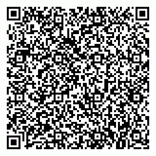 vCard 79021095132