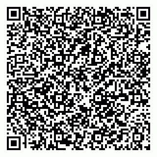 vCard 79021095297