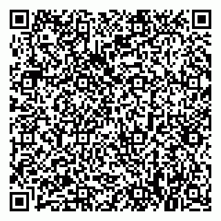 vCard 79021095378