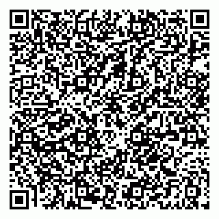 vCard 79021095392