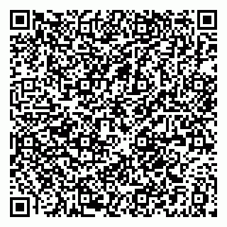 vCard 79021096032