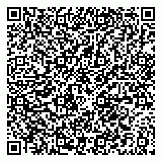 vCard 79021096033