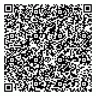 vCard 79021096037