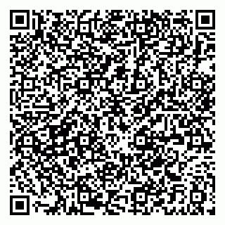 vCard 79021097132