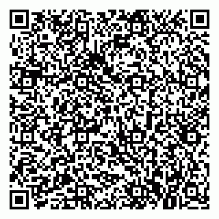 vCard 79021097333