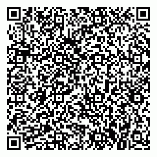 vCard 79021097381