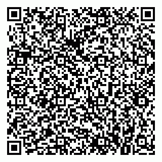 vCard 79021097387