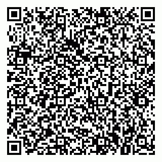 vCard 79021098131