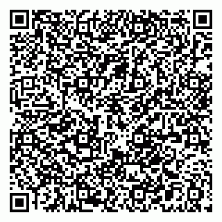 vCard 79021098413