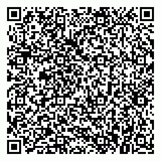 vCard 79021099013