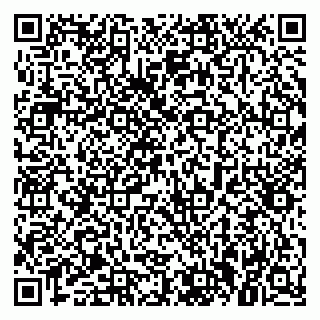 vCard 79021099031