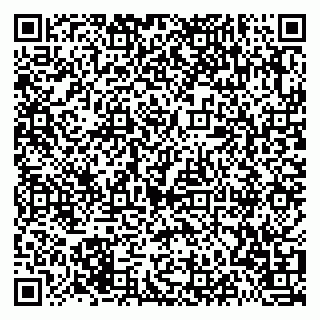 vCard 79021099032