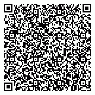 vCard 79021099033