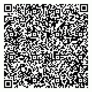 vCard 79021099037