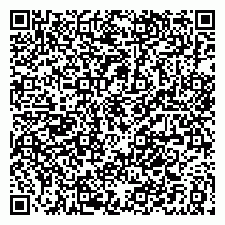 vCard 79021099038