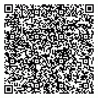 vCard 79021099173