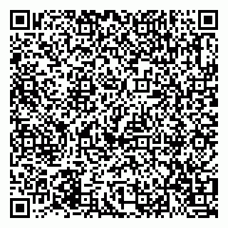vCard 79021099331