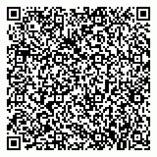 vCard 79021099333