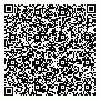 vCard 79021099382