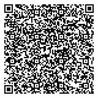 vCard 79021099631