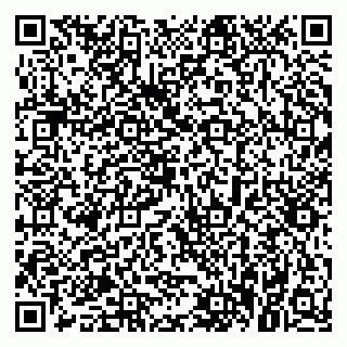 vCard 79021099987