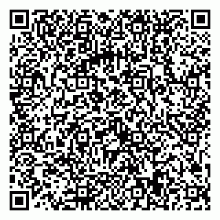 vCard 79021509633