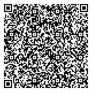 vCard 79021510330