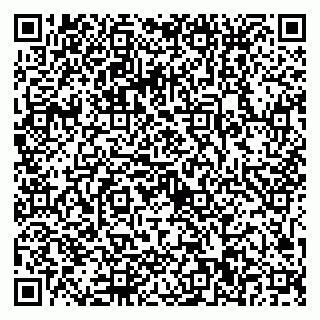 vCard 79021510331