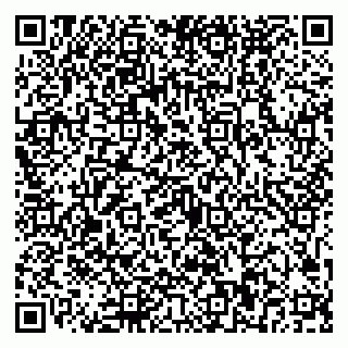 vCard 79021880331