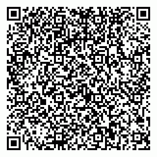 vCard 79021880335