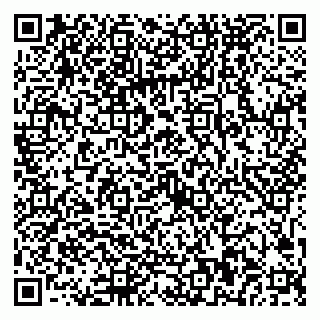 vCard 79021880532