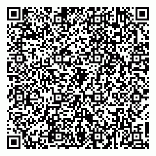 vCard 79022411933