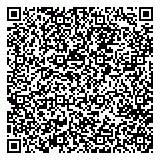 vCard 79022490033