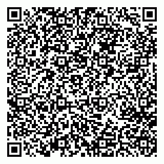 vCard 79022490270