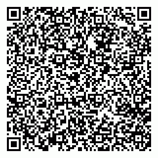 vCard 79022490271